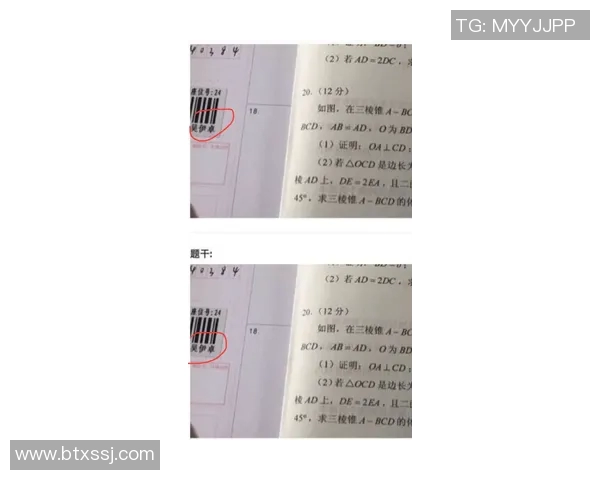 官方公告：公牛被罚+停赛！